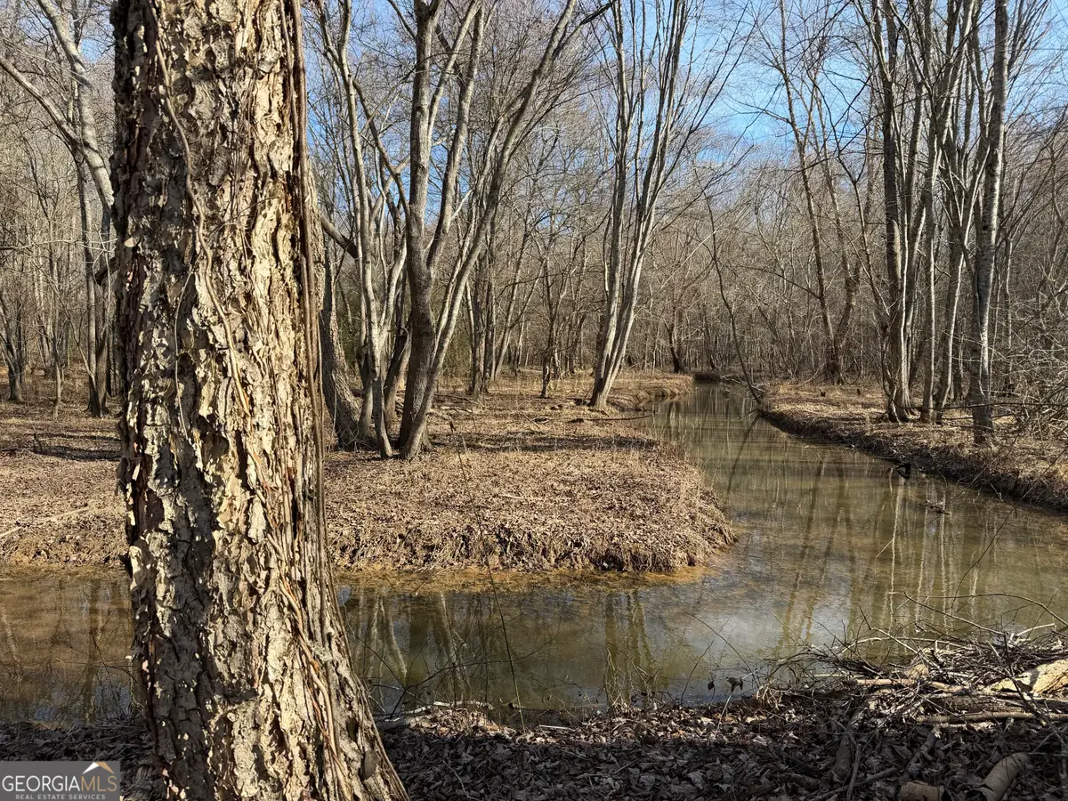 0 Neely, Sharpsburg, GA 30277 - #1