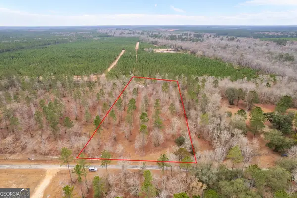 TRACT 1 Loggan Lane, Jesup, GA 31546
