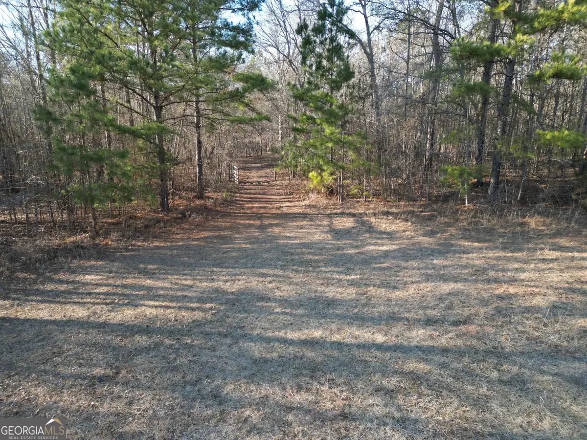 0 Cunningham Rd., Greensboro, GA 30642 - #1