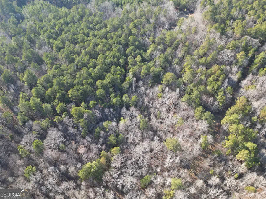 0 Cunningham Rd., Greensboro, GA 30642 - #3