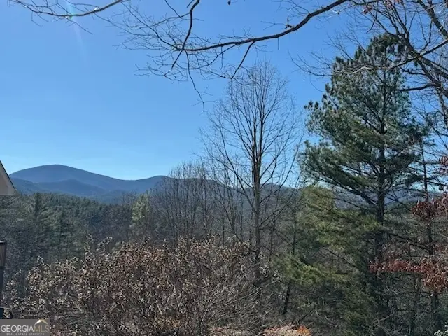 108 Souther Ridge, Blairsville, GA 30512 - #3