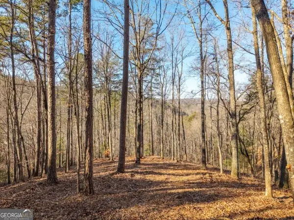 1665 Hunter Drive #42, Talking Rock, GA 30175