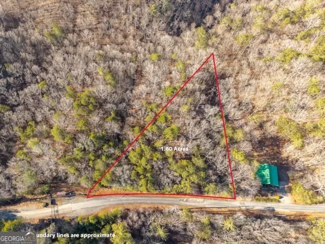 1665 Hunter Drive #42, Talking Rock, GA 30175 - #2