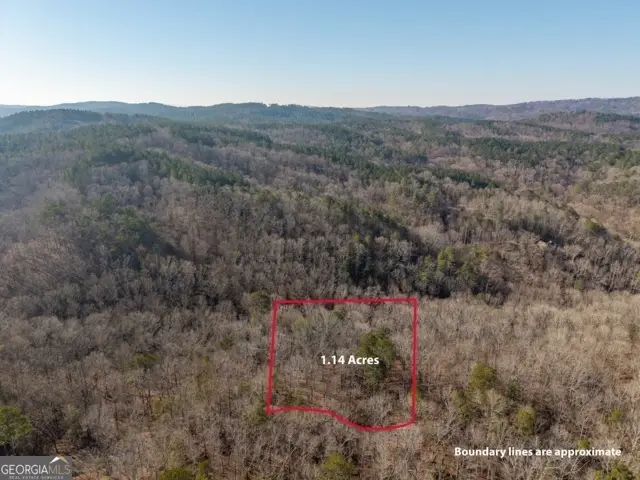 1884 Finale Street, Talking Rock, GA 30175 - #2