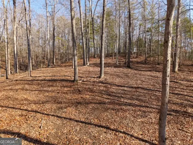 1884 Finale Street, Talking Rock, GA 30175 - #3