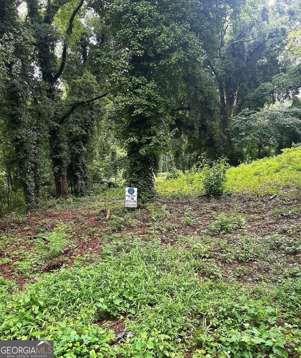 00 Webb Avenue Nw, Atlanta, GA 30314 - #1