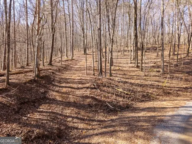 1110 Mayfield Lane, Ranger, GA 30734 - #1