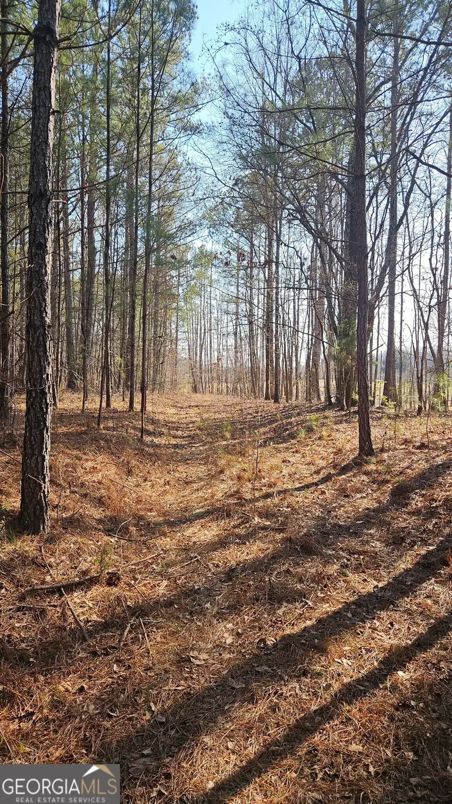 0 Old Zebulon Road, Zebulon, GA 30295 - #3