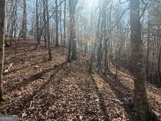 LOT 2119 Newport Drive #2119, Ellijay, GA 30540 - #1
