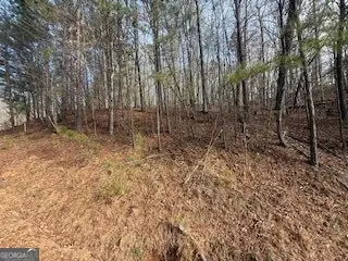 LOT 2119 Newport Drive #2119, Ellijay, GA 30540 - #2