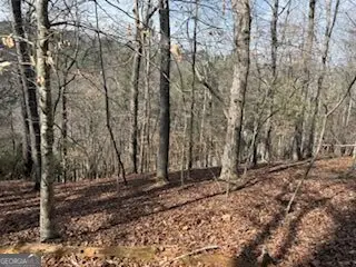 LOT 2119 Newport Drive #2119, Ellijay, GA 30540 - #3