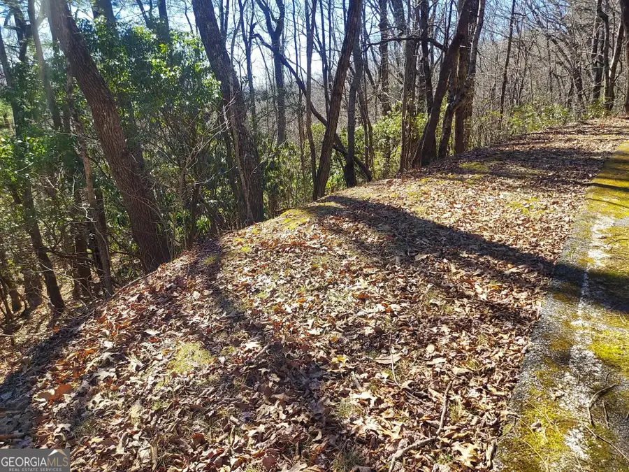 0 LOT 41 Pipetrack Gap Road, Scaly Mountain, NC 28775 - #2