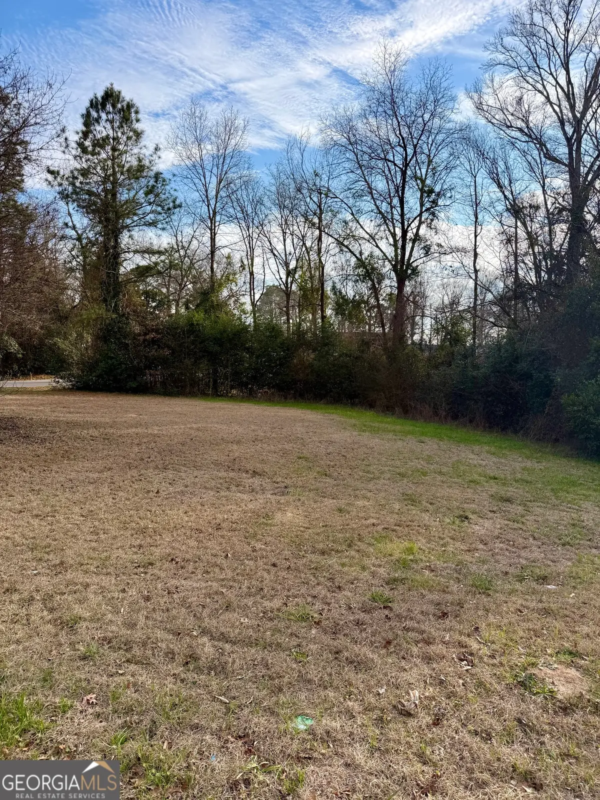 2009 Green Street, Warner Robins, GA 31093 - #1