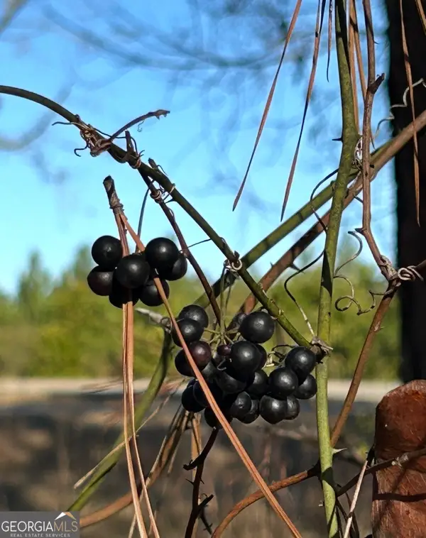 29 Tarpley Road, Danville, GA 31017