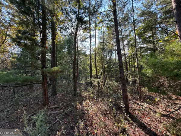 77 ACRES Roosevelt Highway, Warm Springs, GA 31830