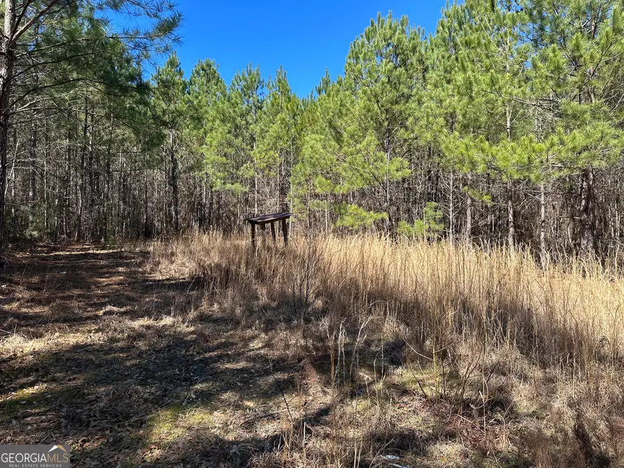 77 ACRES Roosevelt Highway, Warm Springs, GA 31830 - #2