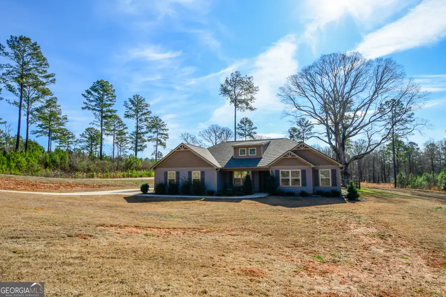4214 S Highway 29, Moreland, GA 30259 - #3