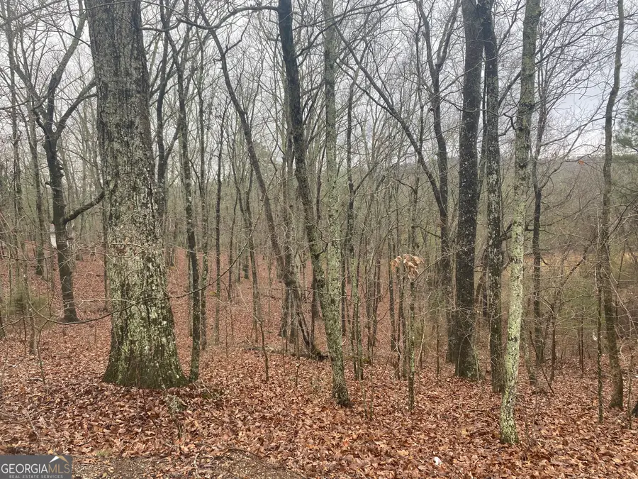 0 John Ingram Road, Silver Creek, GA 30173 - #2