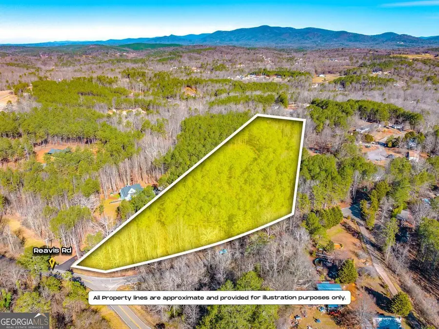 0 Reavis Road, Ball Ground, GA 30107 - #2