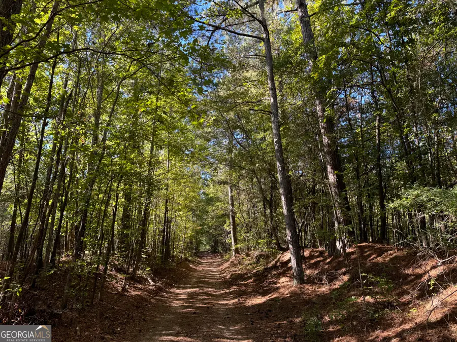 30 AC W Ellis, Griffin, GA 30223 - #3