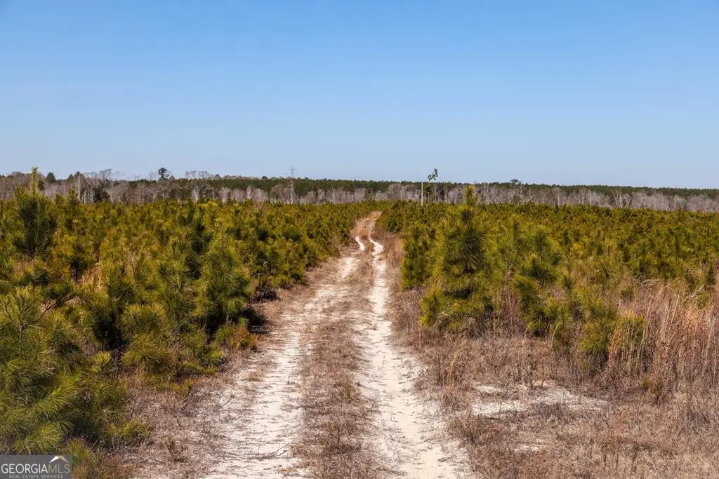 0 Scotland Road, Dublin, GA 31021 - #1