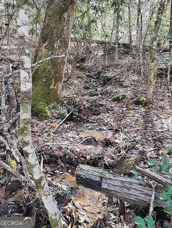 4720 Jones Gap Road, Hiawassee, GA 30546 - #3