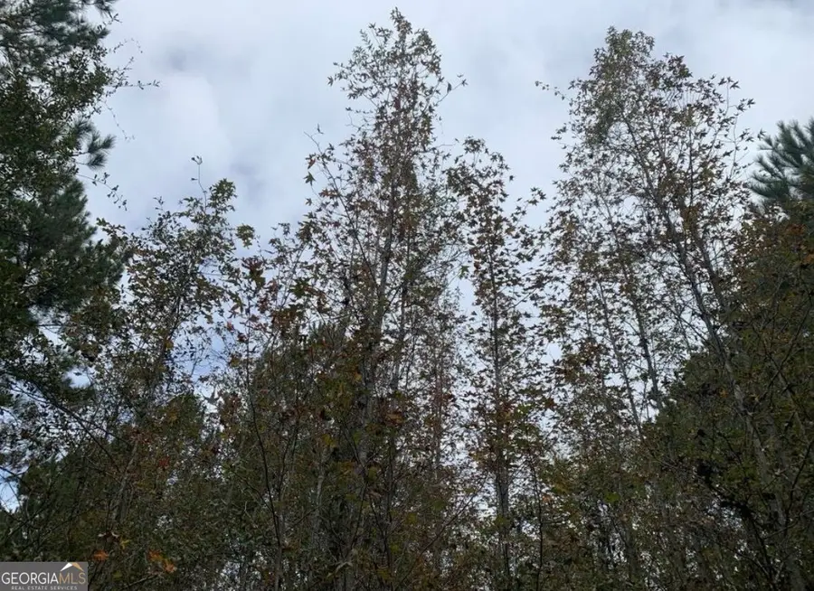 659 W 49 Highway, Milledgeville, GA 31061 - #3