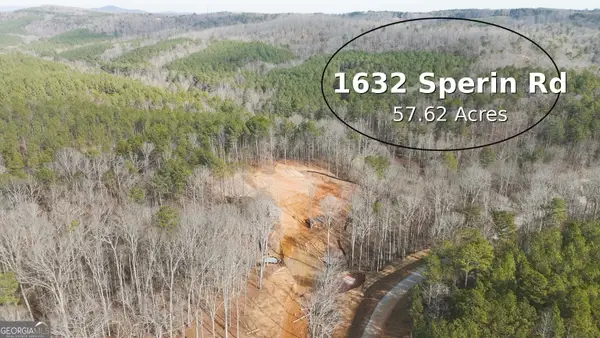 1632 Sperin Road, Ball Ground, GA 30107