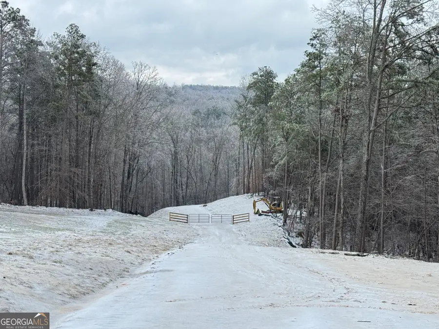 1632 Sperin Road, Ball Ground, GA 30107 - #2