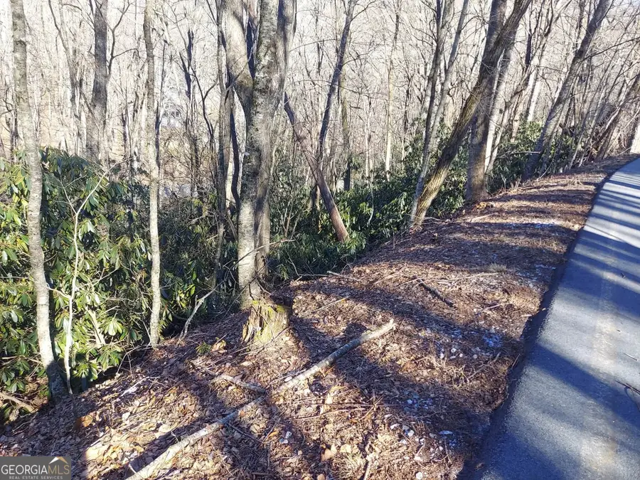0 LOT 41 Rebel Circle, Sky Valley, GA 30537 - #3