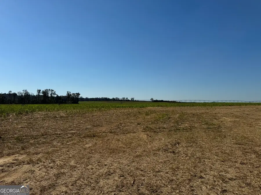 0 Pinetucky Road, Wadley, GA 30477 - #2
