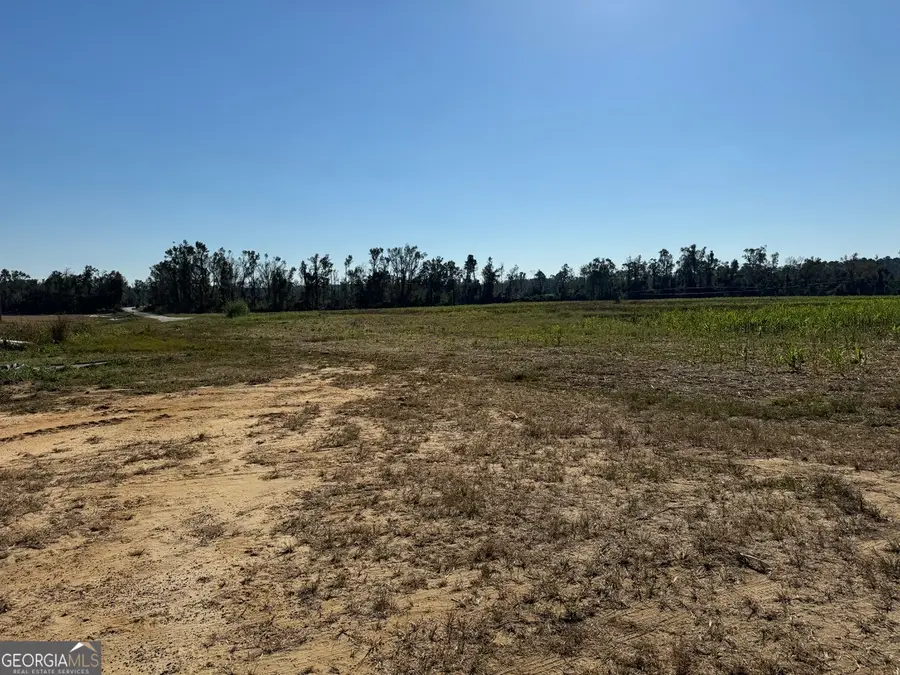 0 Pinetucky Road, Wadley, GA 30477 - #3