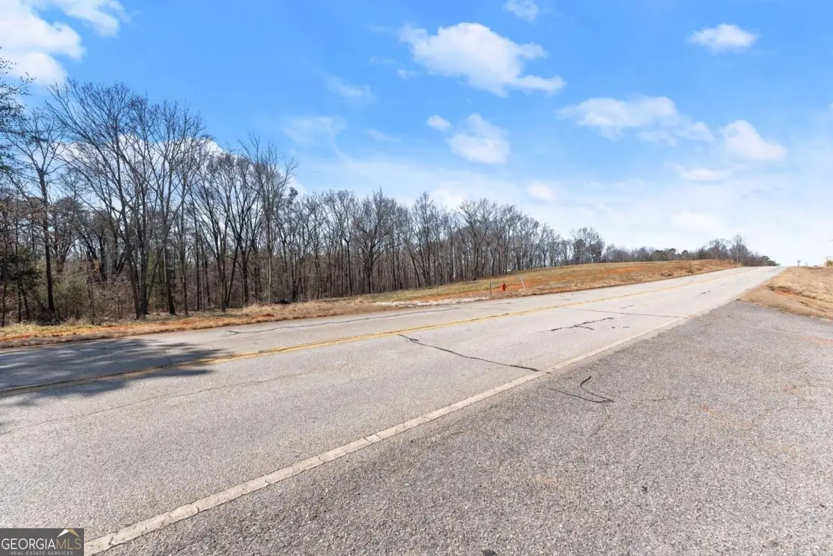 5419 Highway 320, Carnesville, GA 30521 - #1