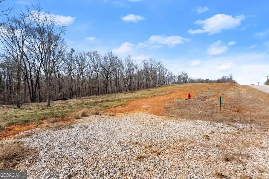 5419 Highway 320, Carnesville, GA 30521 - #2