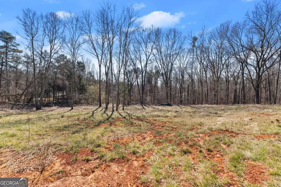 5419 Highway 320, Carnesville, GA 30521 - #3