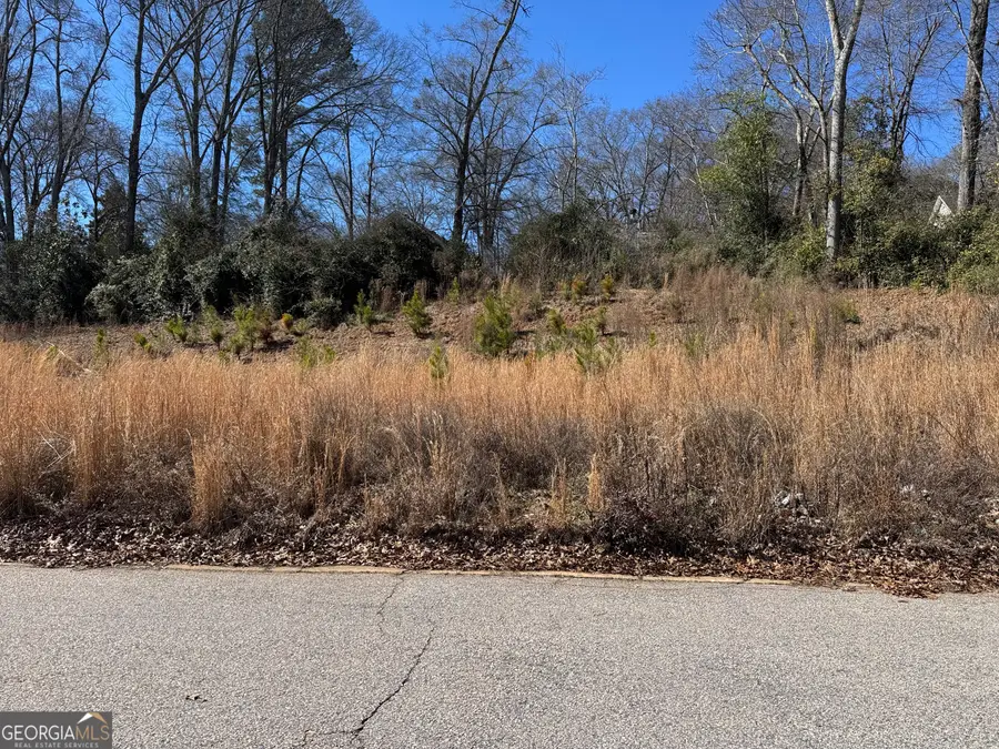 312 Duck Walk Way, Hogansville, GA 30230 - #3