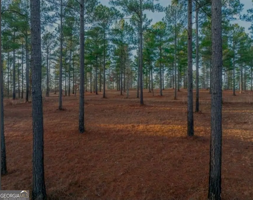 163 Overlook Drive, Eatonton, GA 31024 - #3