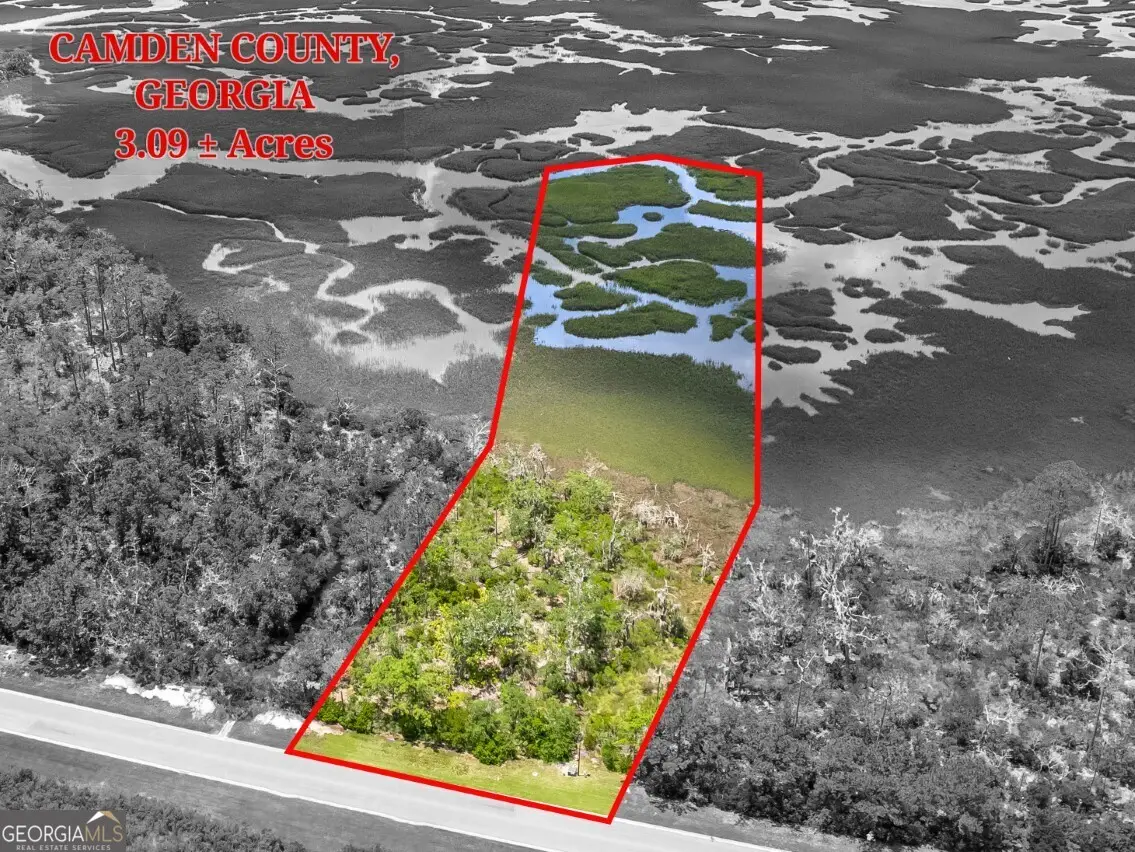 3.09 ACRES Marina Isle Drive #LOT 120, Woodbine, GA 31569 - #1