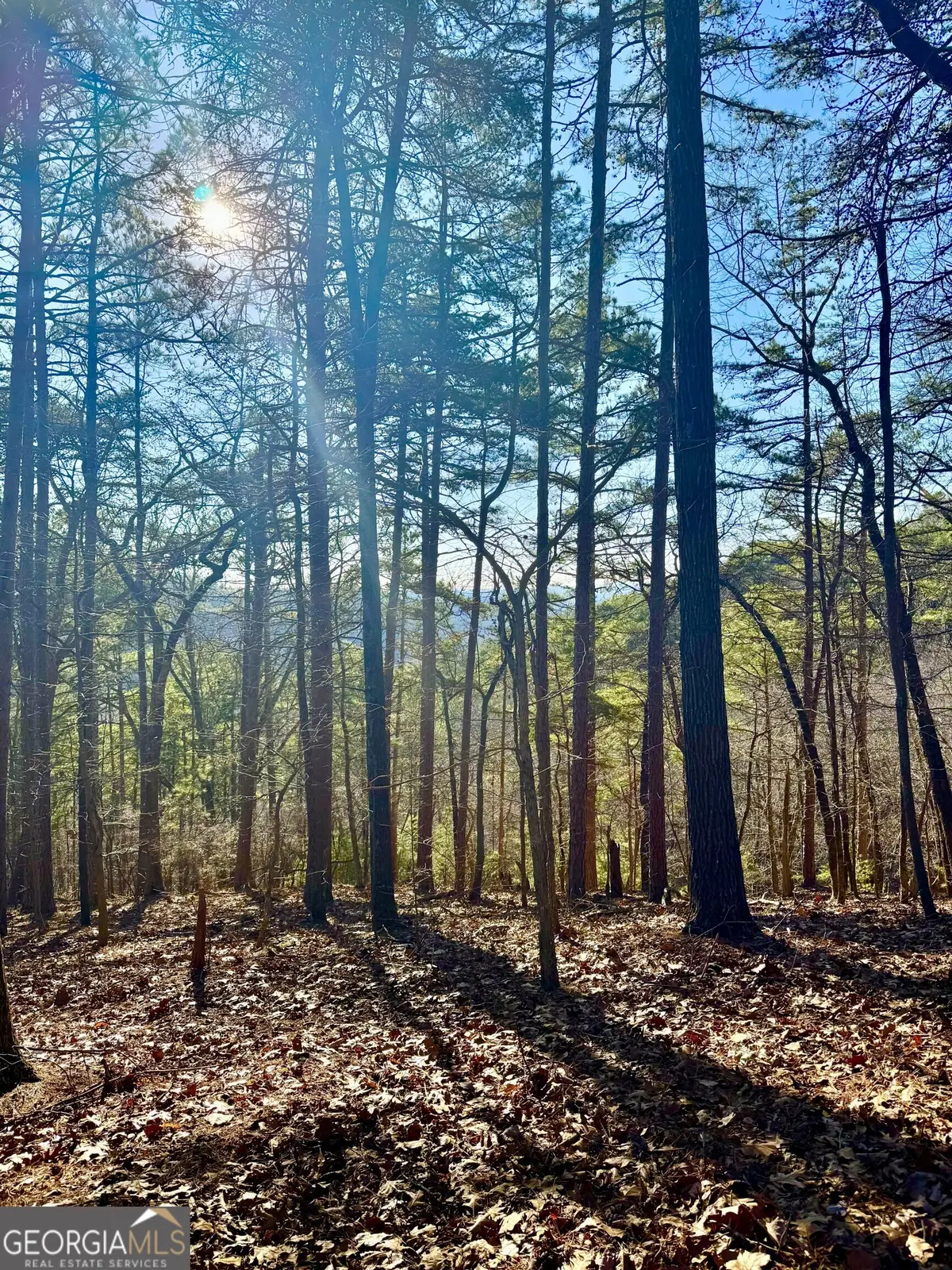 334 Packet Court, Ranger, GA 30734 - #1