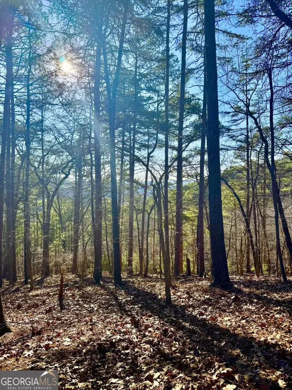 334 Packet Court, Ranger, GA 30734