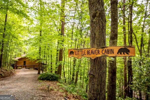 137 Little Beaver Drive, Cherry Log, GA 30522