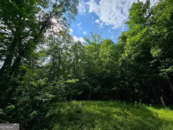 0 Hutcheson Road, Temple, GA 30179