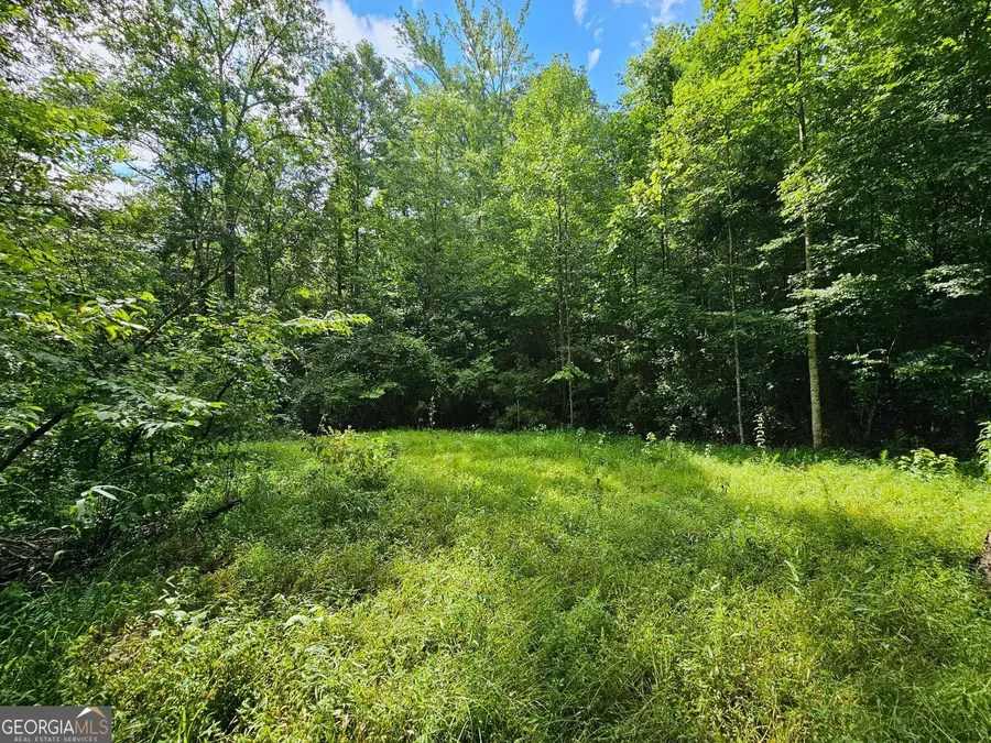 0 Hutcheson Road, Temple, GA 30179 - #2