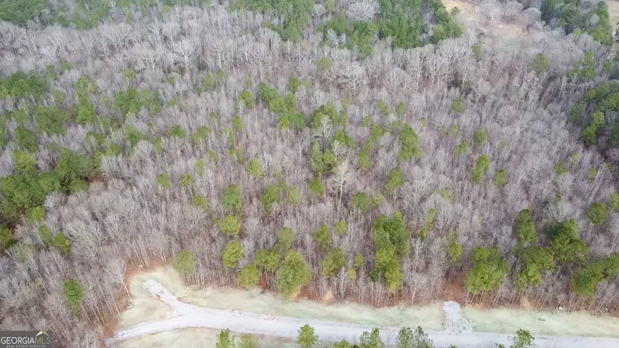 148 Berry Road #LOT 12A, Barnesville, GA 30204 - #3