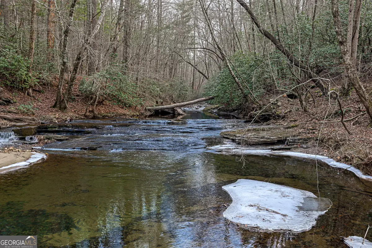 TBD Trout Farm Road, Talking Rock, GA 30175 - #1