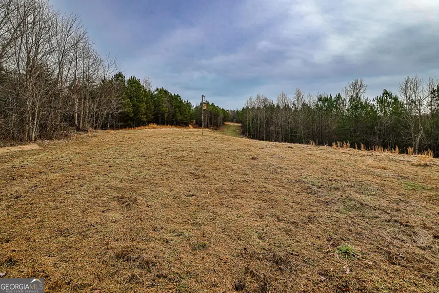 TBD Trout Farm Road, Talking Rock, GA 30175 - #3