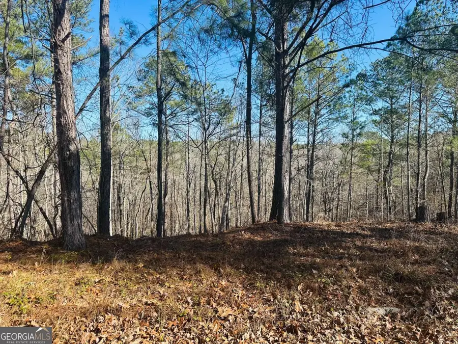 9590 Grande Drive, Winston, GA 30187 - #3