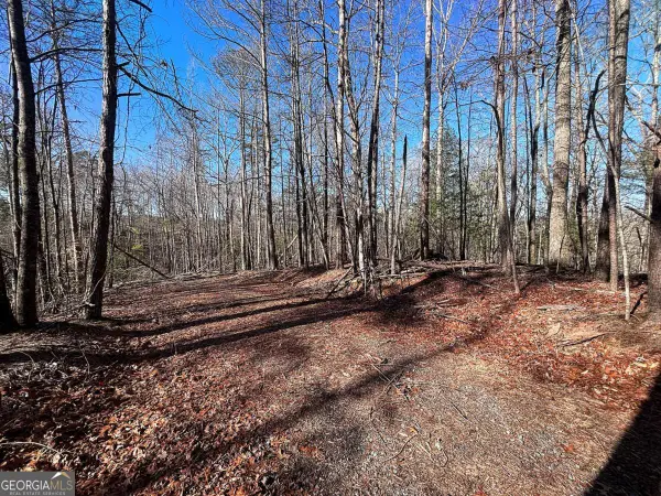 0 Miramar Drive, Ellijay, GA 30540