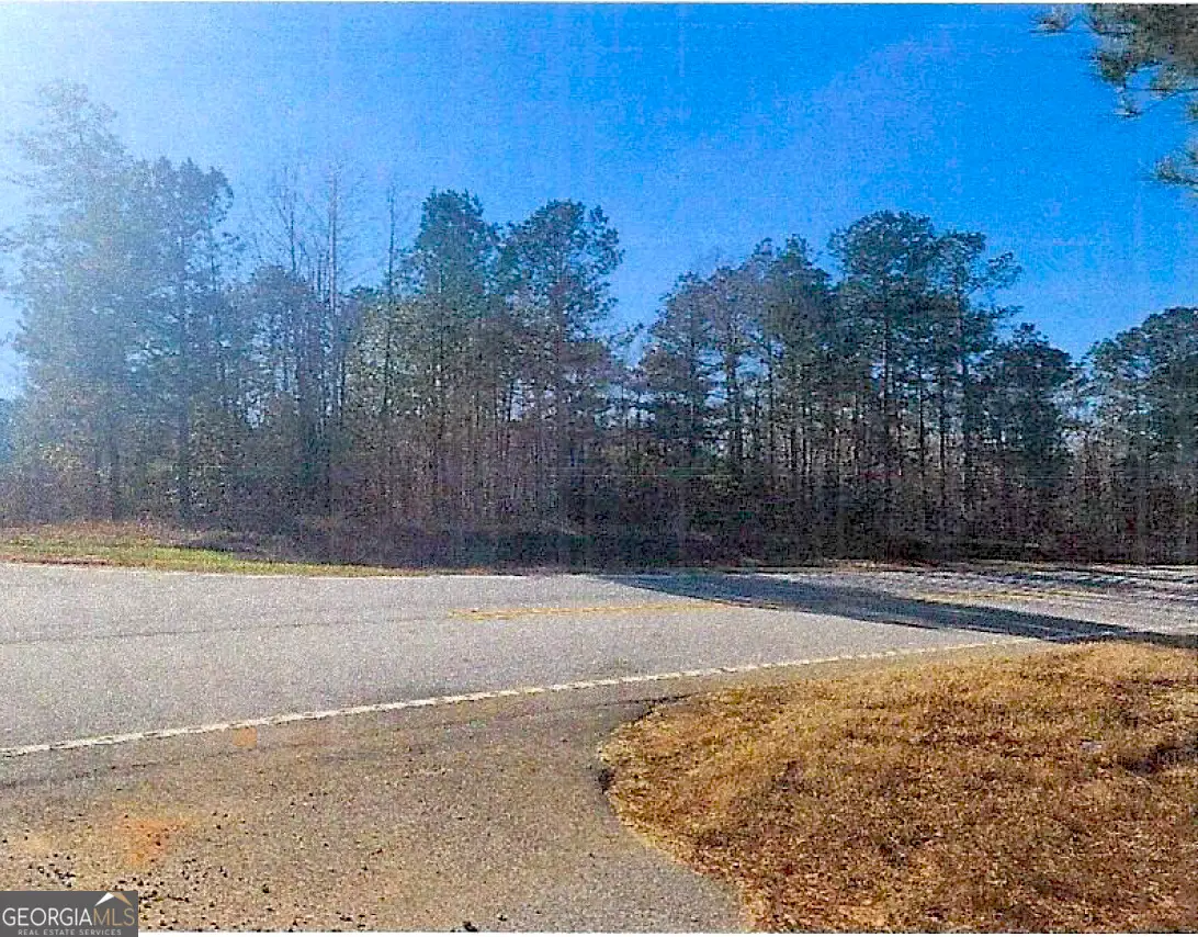 (EASTERN 1/2 OF Thomson Hwy, Warrenton, GA 30828 - #1