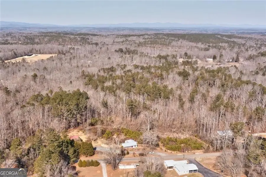 7315 Freeman Road, Dawsonville, GA 30534 - #3